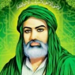 خلفيات الامام علي عليه السلام android application logo